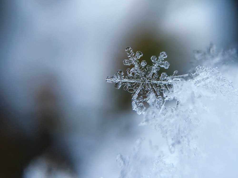 Vivre au rythme de l’hiver